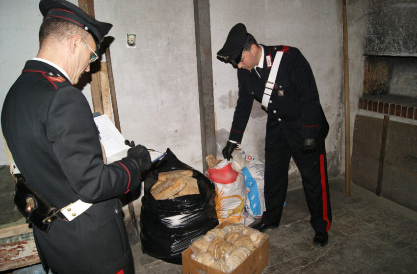  Floridia. Carenze igienico-sanitarie, i carabinieri chiudono un panificio: scarsa pulizia