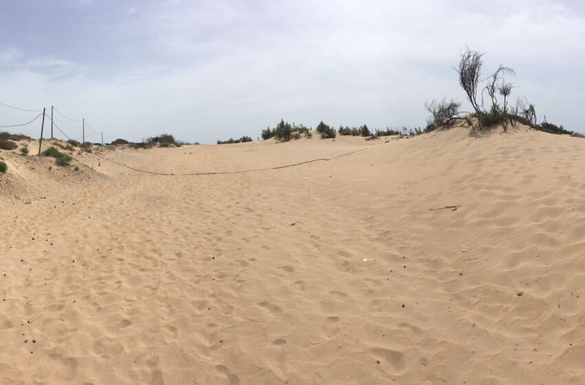  Isola delle Correnti, spiaggia in abbandono c'è anche un cavo elettrico: appello della Lega Navale Catania