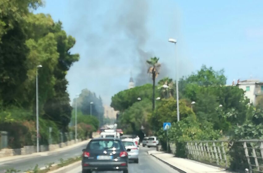  Siracusa. Incendio in viale Paolo Orsi minaccia la zona archeologica