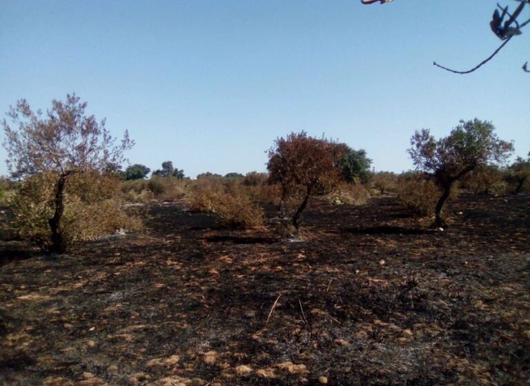  Siracusa. Emergenza incendi, i consiglieri del M5S: "Il Comune faccia rispettare le ordinanze"