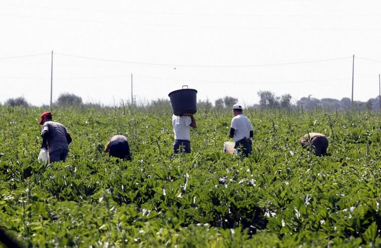  Centro polifunzionale per l'assistenza ai migranti: "forza lavoro non indifferente"