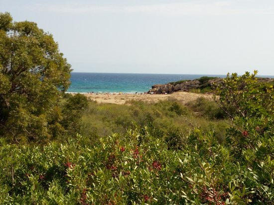  Siracusa. I volontari pronti a pulire la macchia mediterranea dell'Arenella