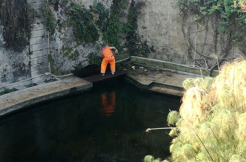  Siracusa, dopo la segnalazione i lavori: pulizia alla Fonte Aretusa