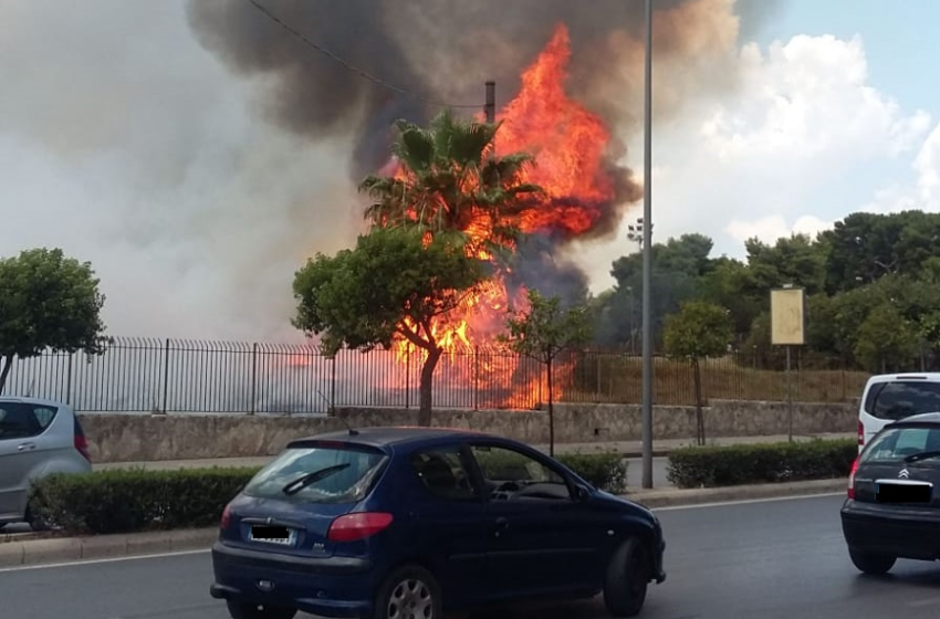  Siracusa. A fuoco l'area a ridosso di Casina Cuti, preoccupazione in viale Teracati