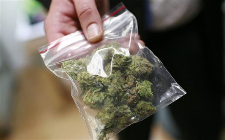  Siracusa. Droga nascosta tra i cespugli: 44 dosi di marijuana rinvenute in un’aiuola