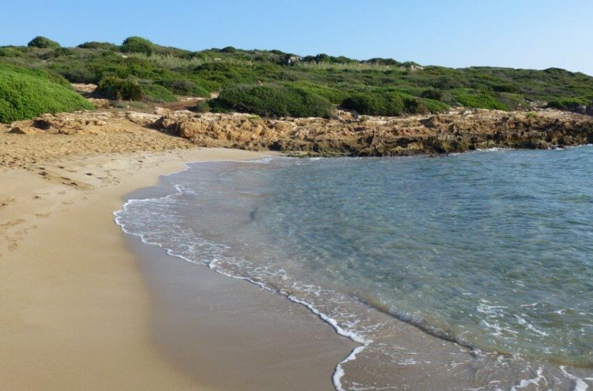  Spiagge sicure, finanziamenti per aumentare i controlli: istanze in Prefettura entro il 20 giugno