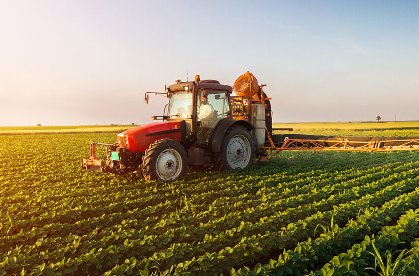  Agricoltura, via al bando per la promozione dei prodotti siciliani di qualità certificata
