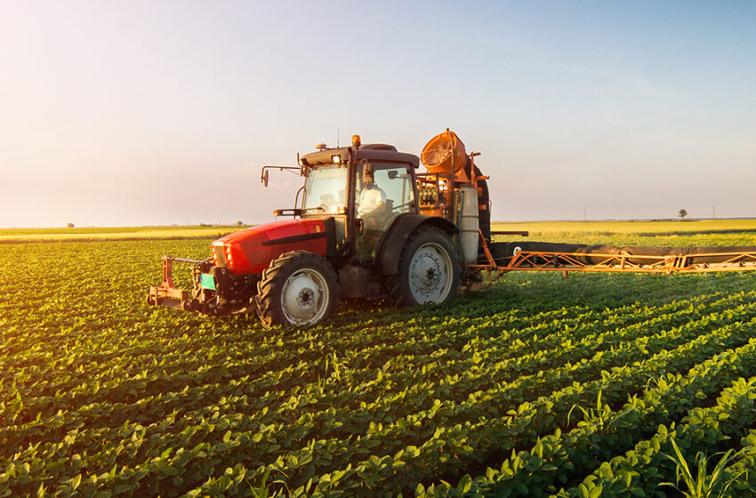  Siracusa. Agricoltura, presente e futuro per un sistema impresa da tutelare