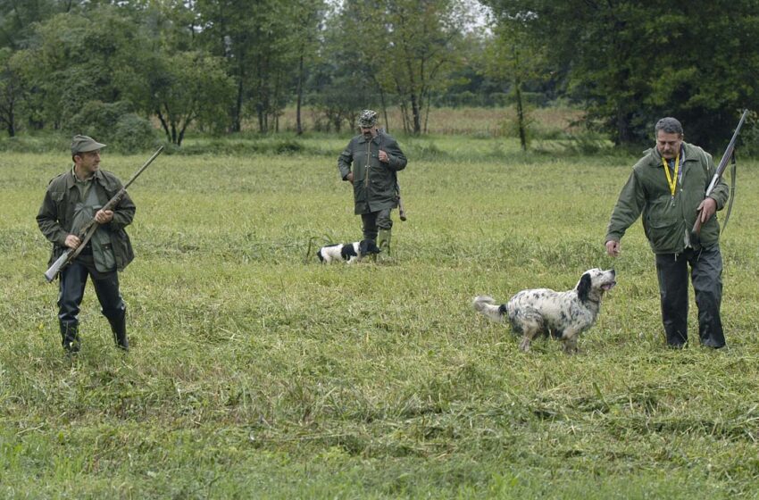  Stagione della caccia al via, siracusani svegliati dalle doppiette