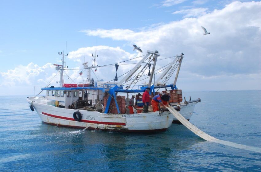  Pesca: fondi per 2,5 milioni liberati per Avola, Noto, Pachino e Portopalo