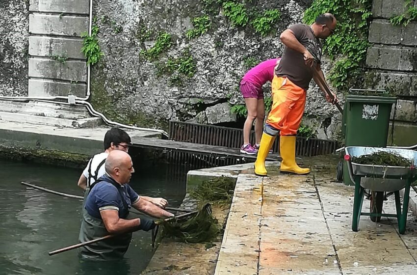  Siracusa. Fonte Aretusa, via alle operazioni di pulizia: in azione i sub dei Ross