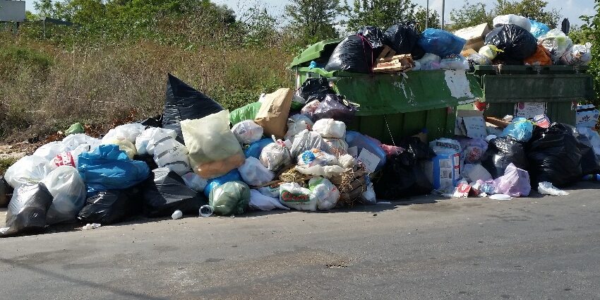  La politica su rifiuto-selvaggio: "città dei topi" e derattizzazione urgente