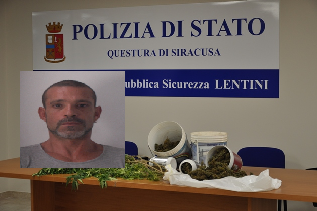  Coltura idroponica di marijuana in uno stanzino segreto: arrestato presunto pusher
