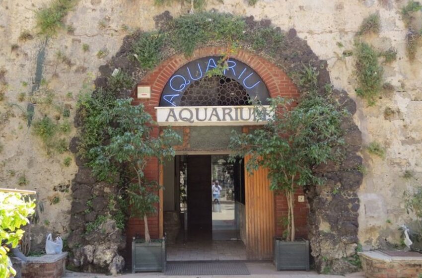  Siracusa. Acquario comunale, c’è il nuovo gestore: Civita Sicilia. Canone da 20mila euro/anno