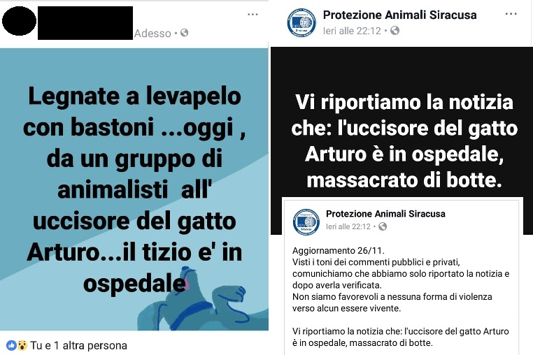  Il gatto ucciso e la voglia di taglione: violenza e disinformazione sui social