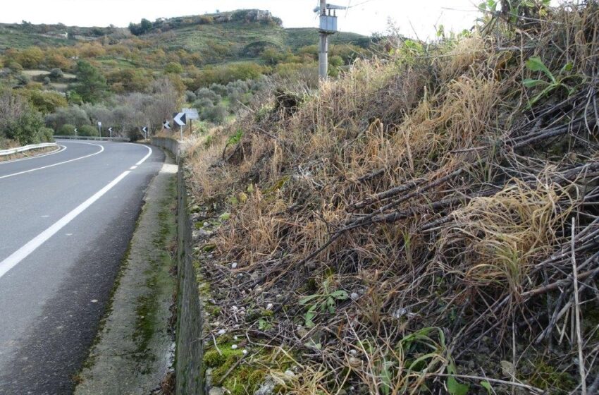  Diserbo delle strade provinciali con glifosato? "Si tornino ad usare i mezzi meccanici"