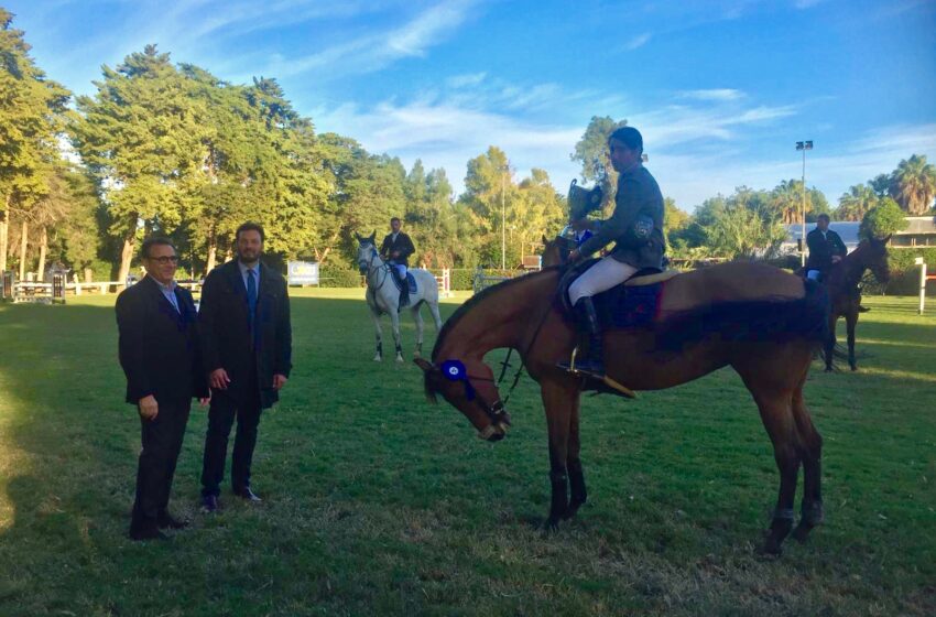  Equitazione: Carrabotta si aggiudica il Trofeo Santa Lucia