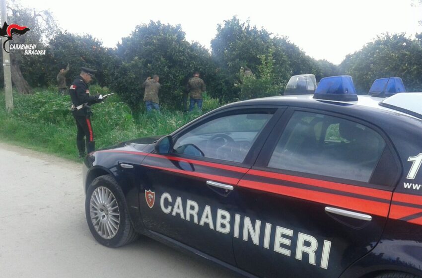  Lavoro nero, ispezioni in provincia: sospese sei attività, multe per 100mila euro