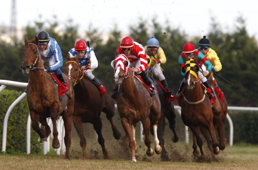  Ippica: domani sei corse al “Mediterraneo”, occhi sul Premio Mascagni