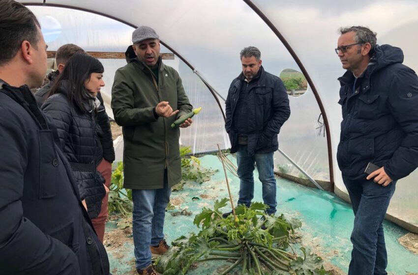  Siracusa. Campagne colpite dal virus New Delhi: produzione ortofrutticola a rischio in provincia