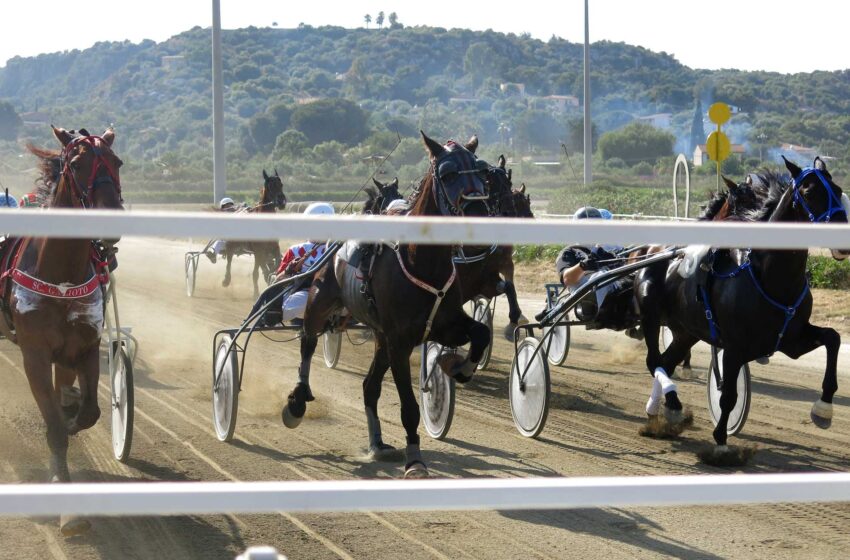  Ippica, lunedì di trotto al “Mediterraneo” con i cavalli di 4 anni protagonisti