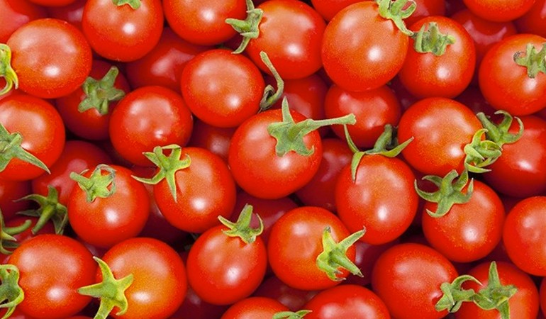  Salsa con pomodoro di Pachino Igp ma senza autorizzazione: maxi sequestro nel siracusano