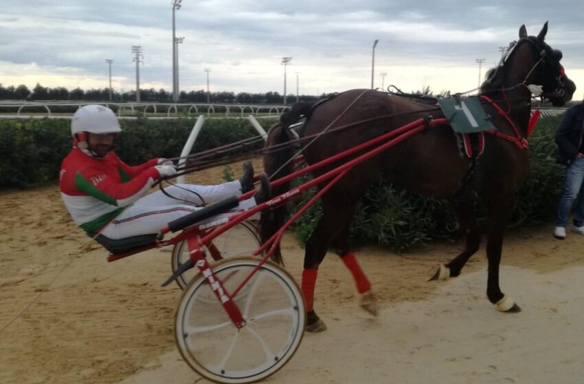  Ippica: Vaitor spicca su tutti nel convegno del “Mediterraneo”