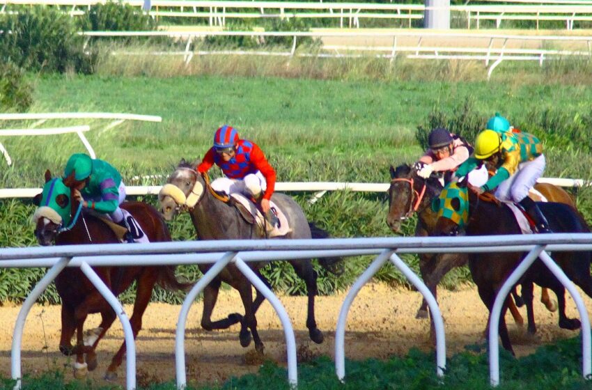  Ippica: Tris e Premio Nardone domani al “Mediterraneo”