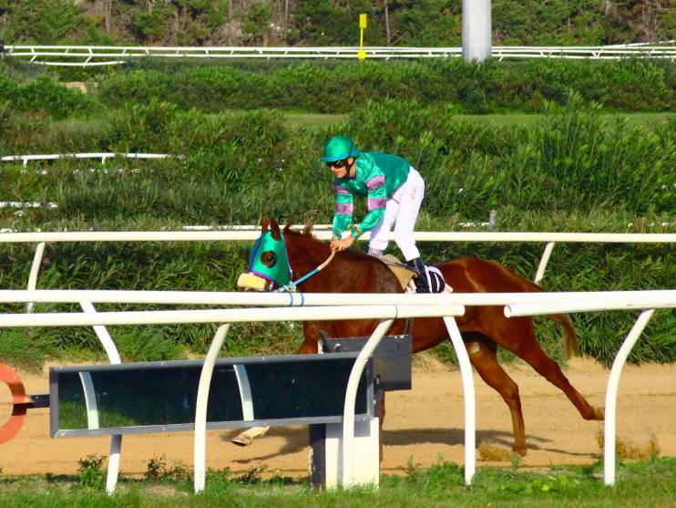  Ippica: Tris e condizionate nel sabato dell’Ippodromo del Mediterraneo