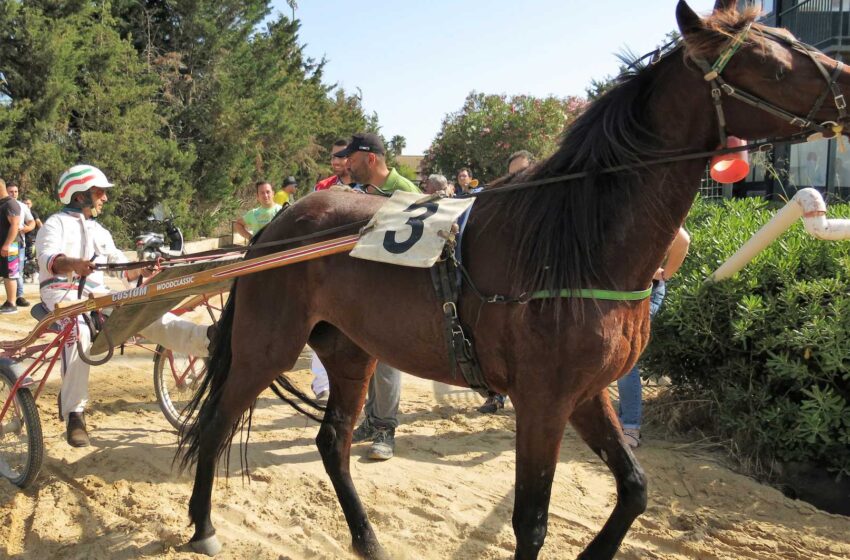  Ippica: domani convegno di trotto arricchito da una Tris
