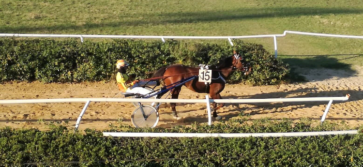  Ippica: Spirit Mn fa sua la Tris al “Mediterraneo”