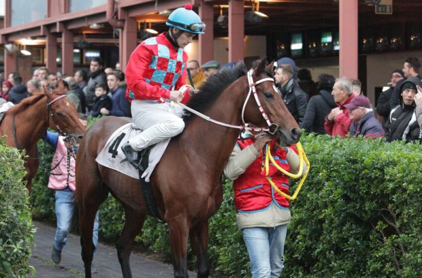  Ippica: la Tris protagonista domani al “Mediterraneo”