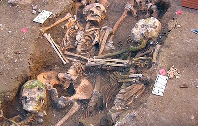  Un centro per lo studio di resti scheletrici antichi e moderni: ad Avola il primo del Sud Italia