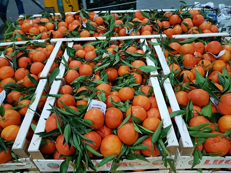  I prodotti siciliani soffrono, poca tutela commerciale: “Rivedere gli accordi”