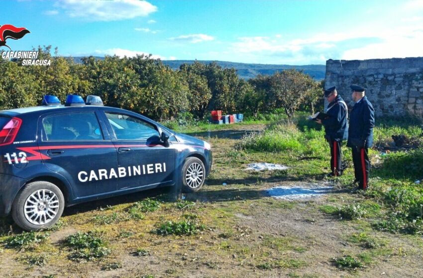  Lavoro nero, i Carabinieri sospendono 13 imprese: multe per 185mila euro