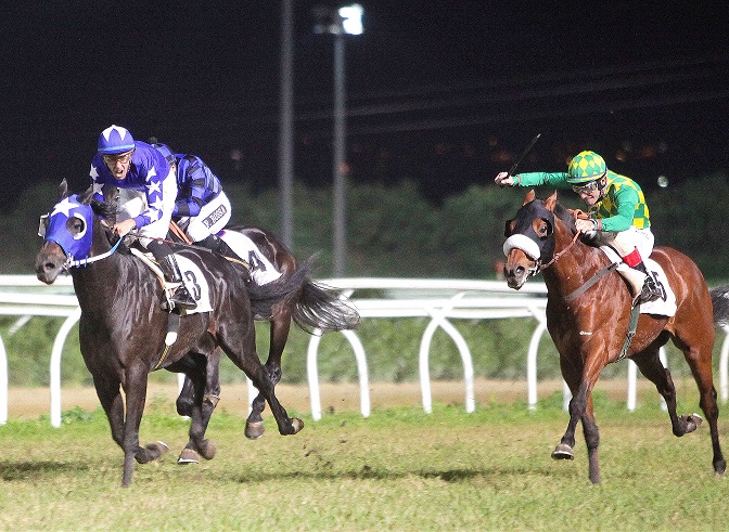  Ippodromo del Mediterraneo, torna il galoppo con le corse di venerdì 23 agosto
