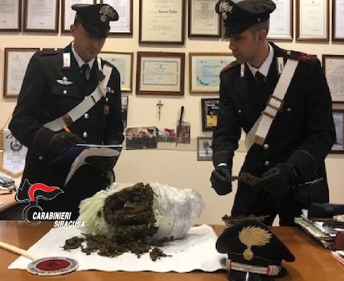  Un kg di marijuana nascosto nell’aiuola vicino alla scuola: indagini a Carlentini