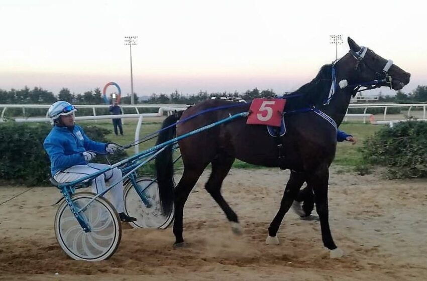  Ippica: poker per Cintura con “Akela” da record nel trotto del “Mediterraneo”