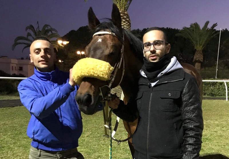  Ippica: al “Mediterraneo” sorprendono Ah Piero, Guapo e Mayzan