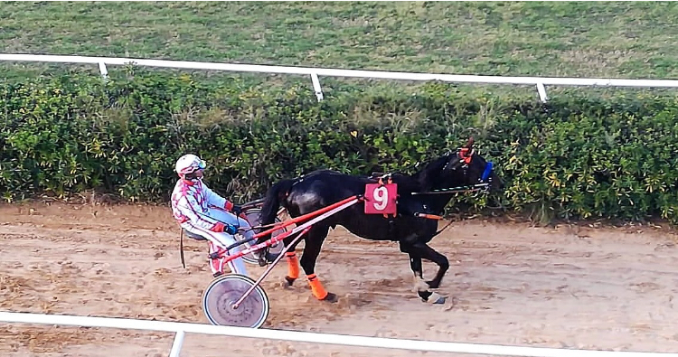  Ippica: Albaricoque fa suo il premio Ragusa al “Mediterraneo”