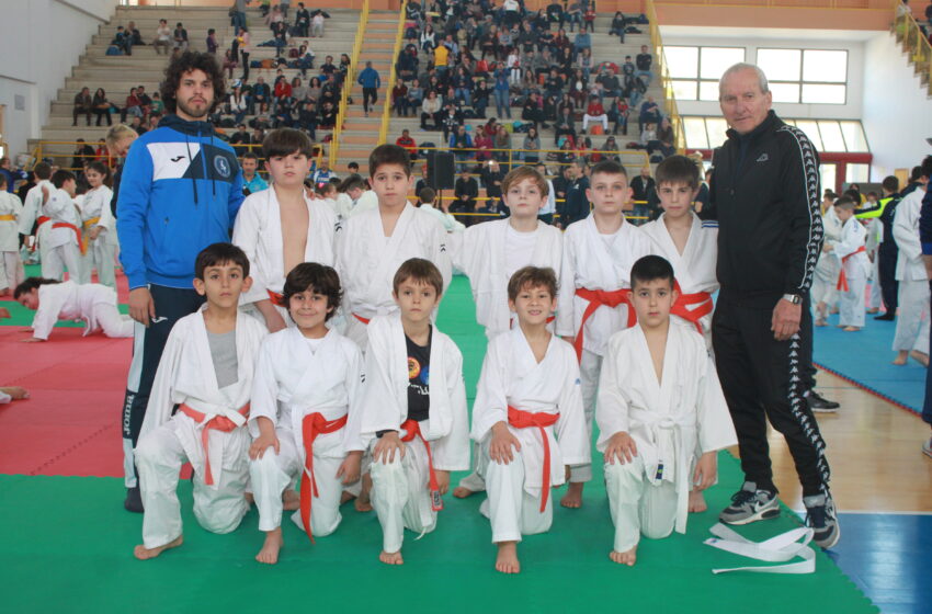  Judo: pieno di medaglie per il Centro sportivo Siracusano a Bagheria