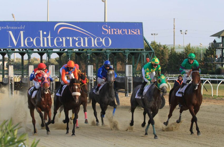  Ippica: Premio Città di Siracusa il 1 Maggio al “Mediterraneo”