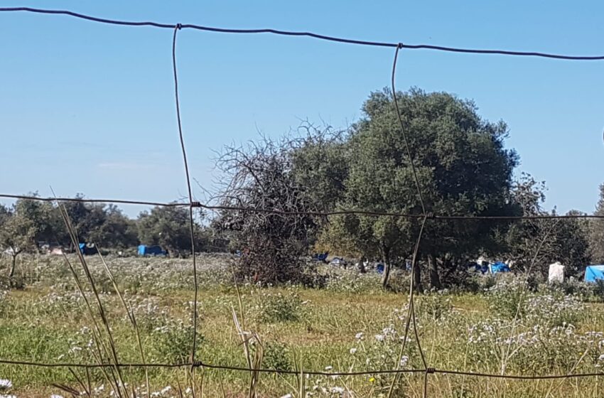  Basta tendopoli a Cassibile, per i braccianti agricoli migranti arriva un “villaggio”