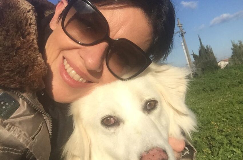  Sortino.”A Companion animal is for life”: oltre mille e 400 chili di cibo per i randagi