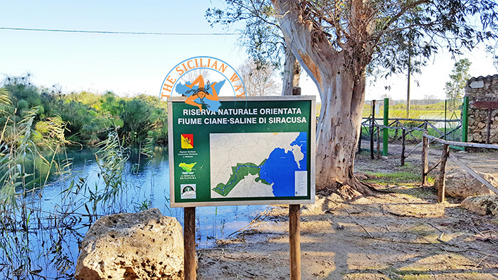  Siracusa. Amianto alla riserva del Ciane,via alla bonifica: “Si progettano sentieri ciclabili e pedonali”