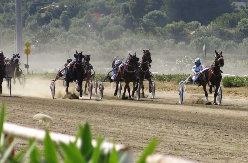  Ippica: si tingono di rosa le prove centrali di trotto al “Mediterraneo”
