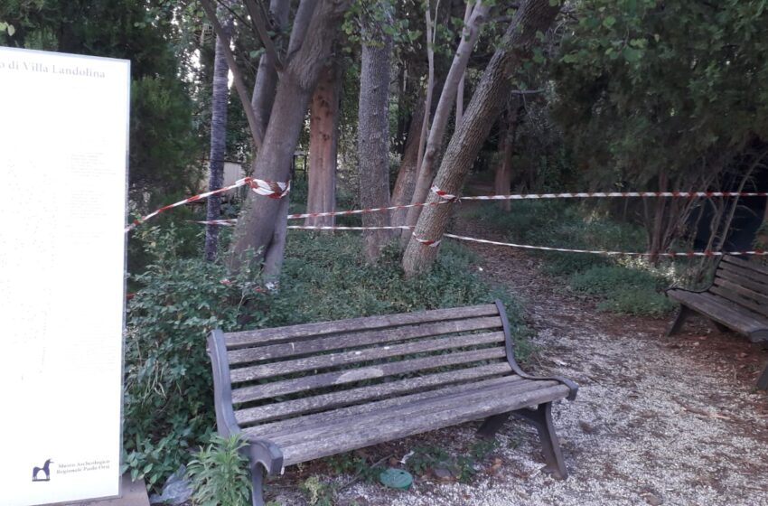  Siracusa. Il parco del museo Paolo Orsi in abbandono: erbacce, rifiuti, vialetti chiusi