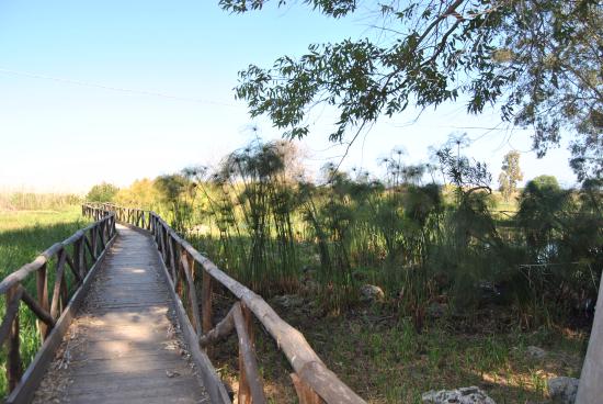  Passeggiata al Ciane con Legambiente per Giornata Mondiale delle Zone Umide