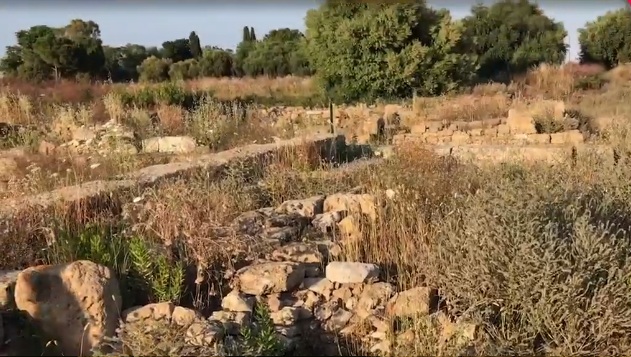  Megara Hyblea coperta dalle erbacce, nuovo video-denuncia dopo il Castello Eurialo