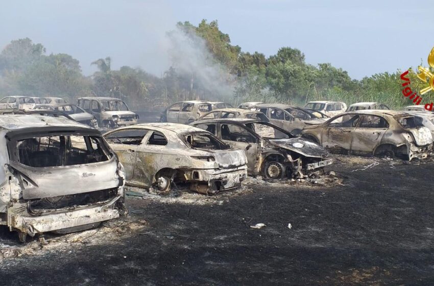  Scene dall’inferno: spaventoso rogo distrugge oltre 40 auto